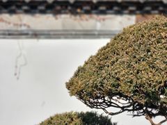 -水绘园