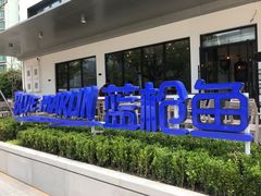 -蓝枪鱼Blue Marlin Fusion(星海店)