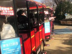 -合肥融创乐园