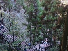 -刘伯温故里景区百丈漈