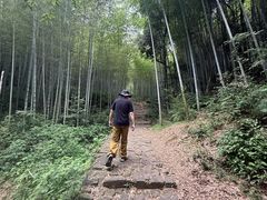 -午潮山国家森林公园