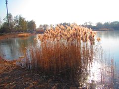 -永定河休闲森林公园