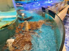 -田园肥牛鲍鱼先生(新北店)