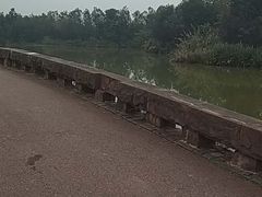 -白鹭湾湿地公园