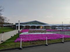 -轻井泽王子购物广场