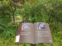 -南山植物园