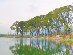 -上海植物园-4号门售票处