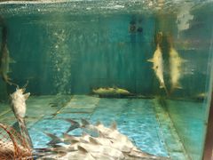 -漓江又一軒·广西菜·桂林米粉(梅林店)