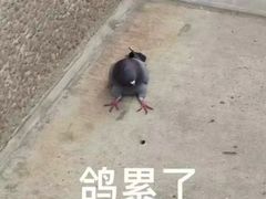-美拉维苏披萨(华科店)
