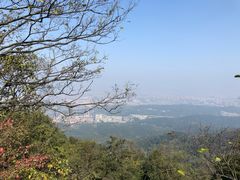 -紫金山山顶公园