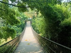 -南宁良凤江国家森林公园