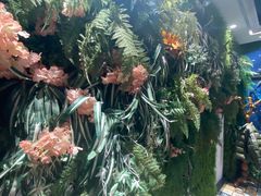 -南城十里潮汕鲜牛火锅·鲜虾生滚粥(融汇老商埠店)