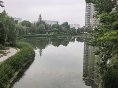 -渭滨公园