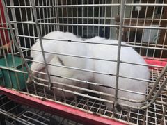 -锦尚阁烤鱼•天津菜(宣武门胡同店)