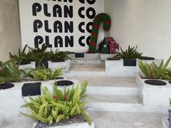 -PLAN CO