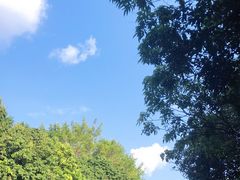 -中旅阿那亚九龙湖·公主酒店