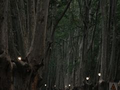 -灵谷景区