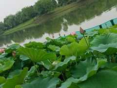 -湘湖大院(越王路店)