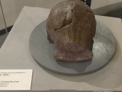 -北京周口店北京人遗址博物馆