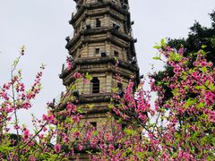 -船政文化景区-罗星塔公园