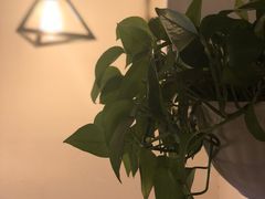 -长颈鹿咖啡(大学路店)