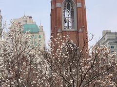 -人民广场