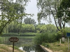 -大兴滨河森林公园