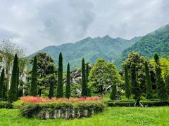 -四川汶川特大地震漩口中学遗址