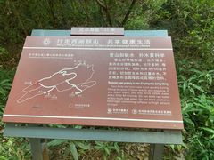 -九曜山