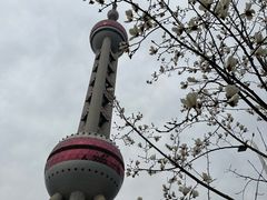 -东方明珠广播电视塔