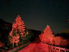 -灵山