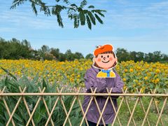 -花开海上生态园