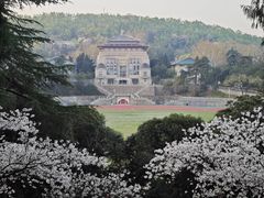 -武汉大学-樱园