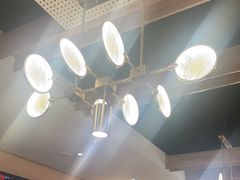 -新概念来凤鱼(璧山店)