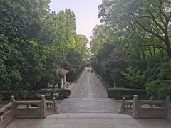 -灵谷景区