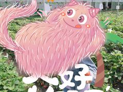 -金石滩蓝莓谷庄园
