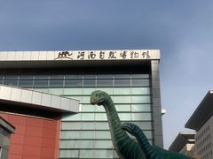 -河南自然博物馆