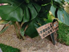 -相遇·鲜炒黄牛肉(丹阳吾悦广场店)