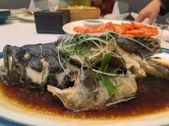 -岳各庄批发市场(西四环中路店)