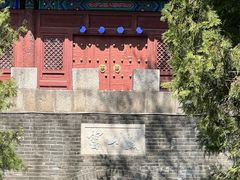 -云岗森林公园