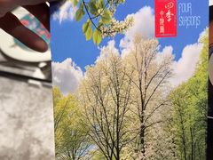 -北京丽亭华苑酒店·四季中餐厅(知春路店)