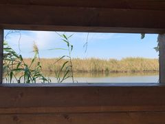 -同里国家湿地公园