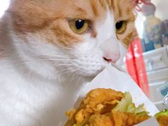 -肯德基(九龙店)