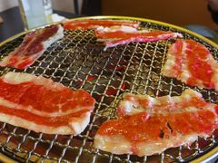 -樱嘢·炭火烧肉(惠南店)