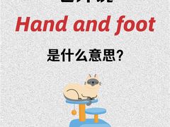 -菠萝国际教育专注Alevel·IGCSE·IB·AP·托福雅思培训辅导(静安校区)