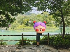 -紫云谷景区