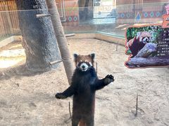 -石家庄市动物园