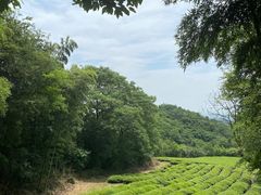 -敬亭山风景名胜区