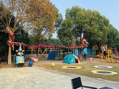 -上海海湾国家森林公园