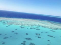 -怀托摩萤火虫洞